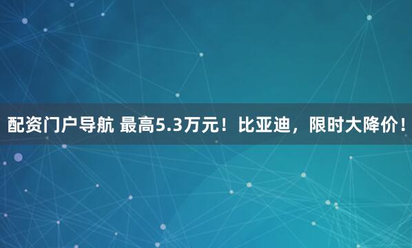 配资门户导航 最高5.3万元！比亚迪，限时大降价！
